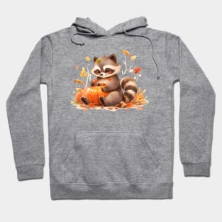 Cute Pumpkin Raccoon Hoodie